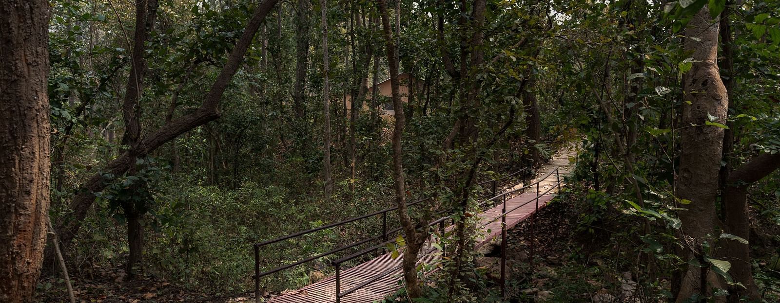 Walkway with trees on the sides at Saccharum Safari Lodge, Balaghat