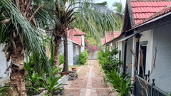 Neemrana coconut Alley view