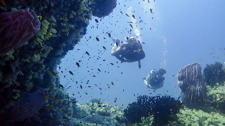 Beautiful scene from under water 