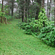 Young Island Resorts - Coorg Coorg Young Island Resorts Coorg 5