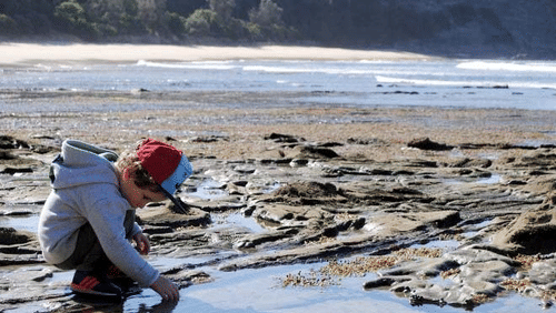 A child crouching on a rocky shoreline during low tide, examining tide pools and wet sand formations with the sea visible in the background.