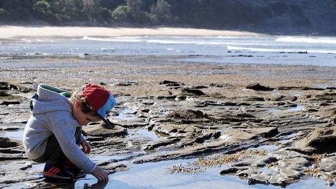 rock pooling