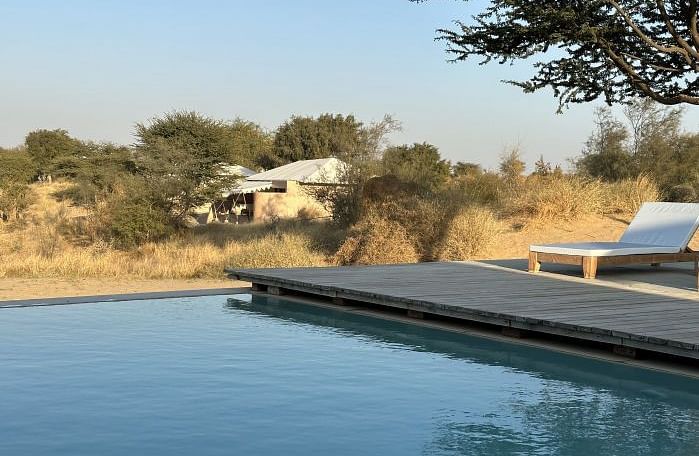 An image of a swimming pool over looking the desert camp area with sparse vegetation - MANVAR Resort & desert Camp