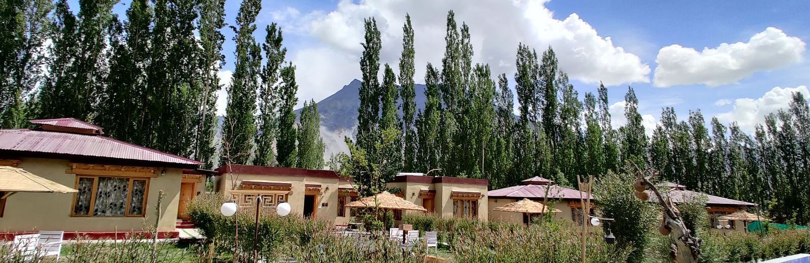 Daytime view of White Sand Resort, Ladakh featuring cabins, trees, and a picnic area under a cloudy sky.