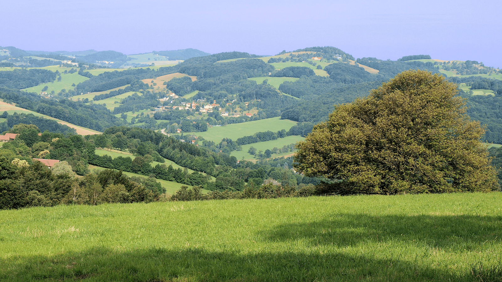 A green landscape with hills and an azure sky