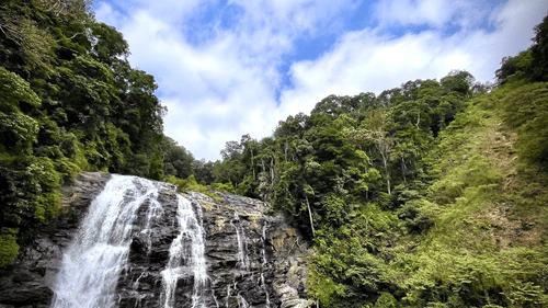 Waterfall cascading down with trees in the background and big rocks in the foreground