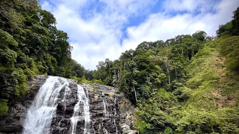 Waterfall cascading down with trees in the background and big rocks in the foreground
