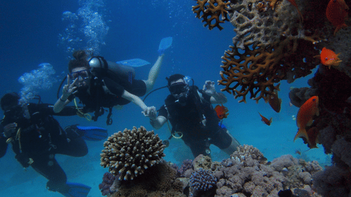three divers posing for a picture near a coral reef with bubbles flowing up