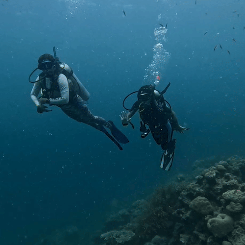 Two scuba divers swimming underwater near a coral reef, engaged in guided training or practice dive.