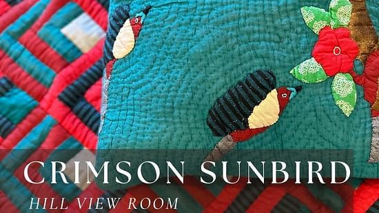 Crimson Sunbird bedroom with beautiful room Furniture and paintings