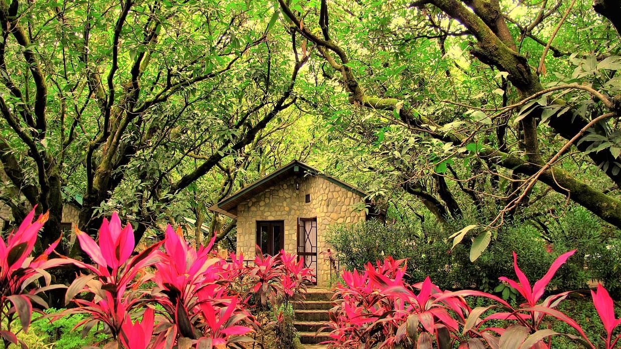 cottage exterior amidst mango orchard and garden