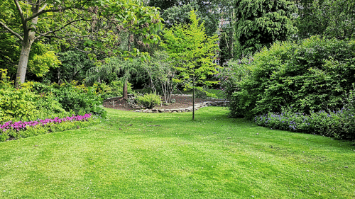 Lush green lawn surrounded by mature trees and manicured hedges in a park or large garden.