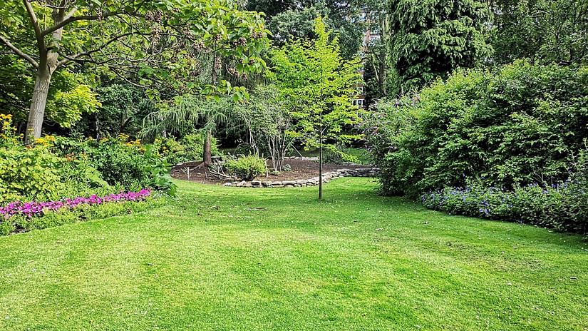 A garden with lush grass and trees in the background
