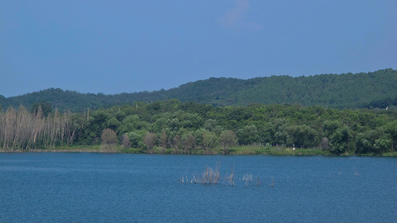 An overview of a lake with a mountain in the background and vegetation in between the waterbody and mountain.