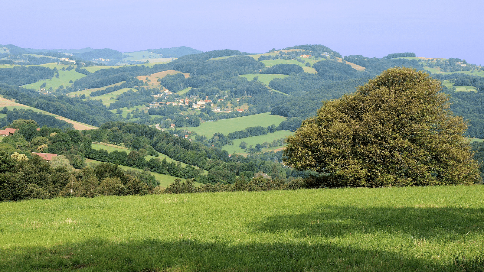 A green landscape with hills and an azure sky