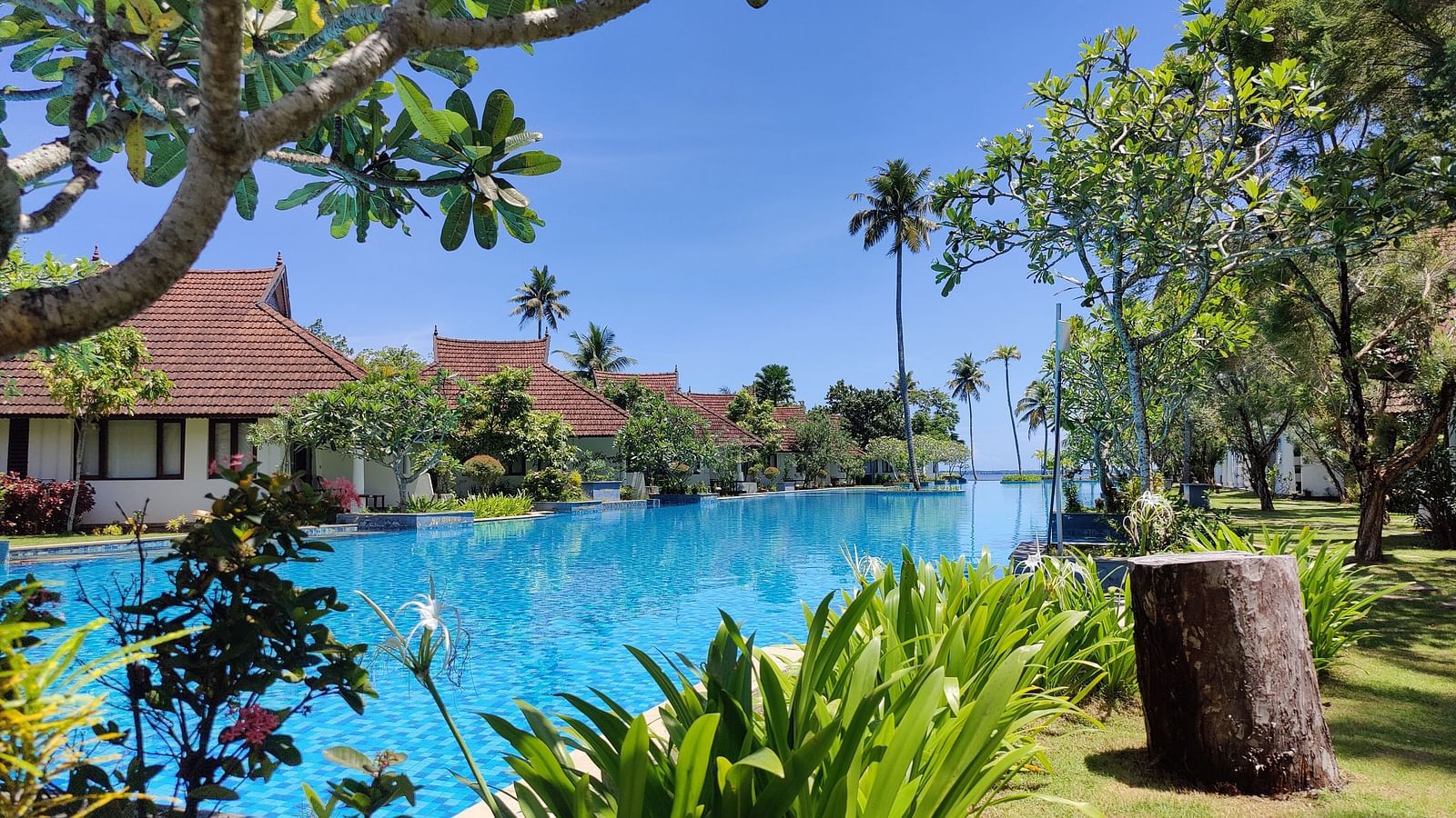 an image of a swimming pool surrounded by green  plants and trees - Rhythm Kumarakom