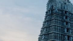 pexels-photo-1583244