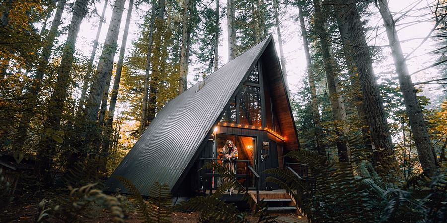 a wooden house standing amidst a forest