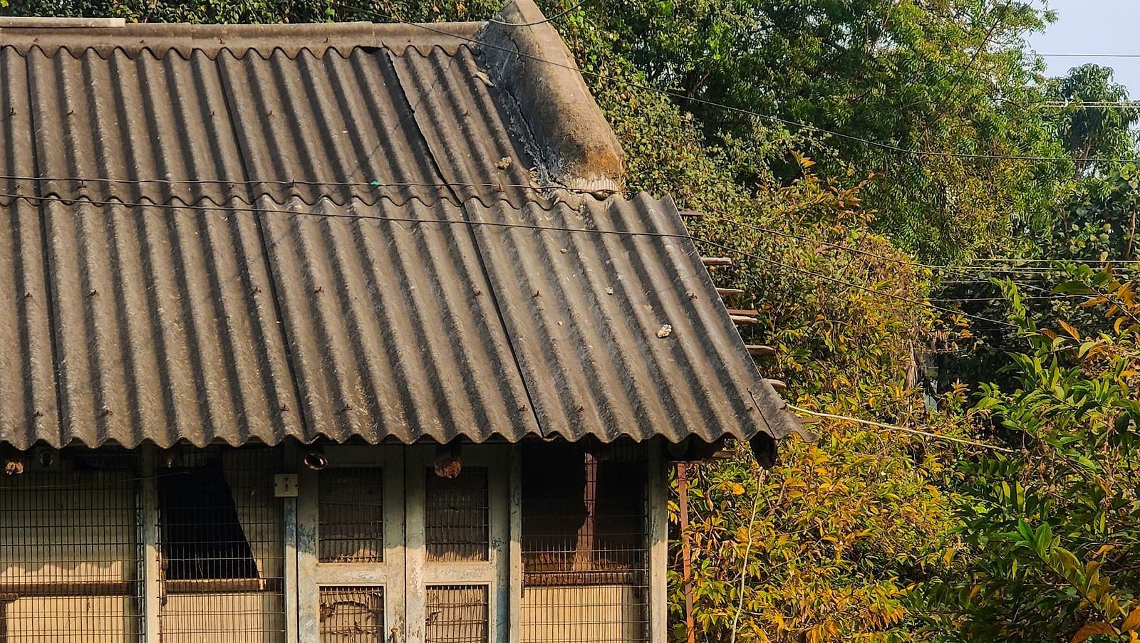 An overview of a house in sevagram with goats in front of it