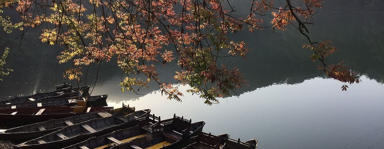 Colorful autumn leaves reflecting on a calm lake, surrounded by trees, capturing the essence of fall.