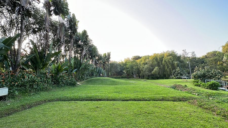a large lawn with fine grass surrounded by trees lined up along the edges - Kadkani River Resort, Coorg