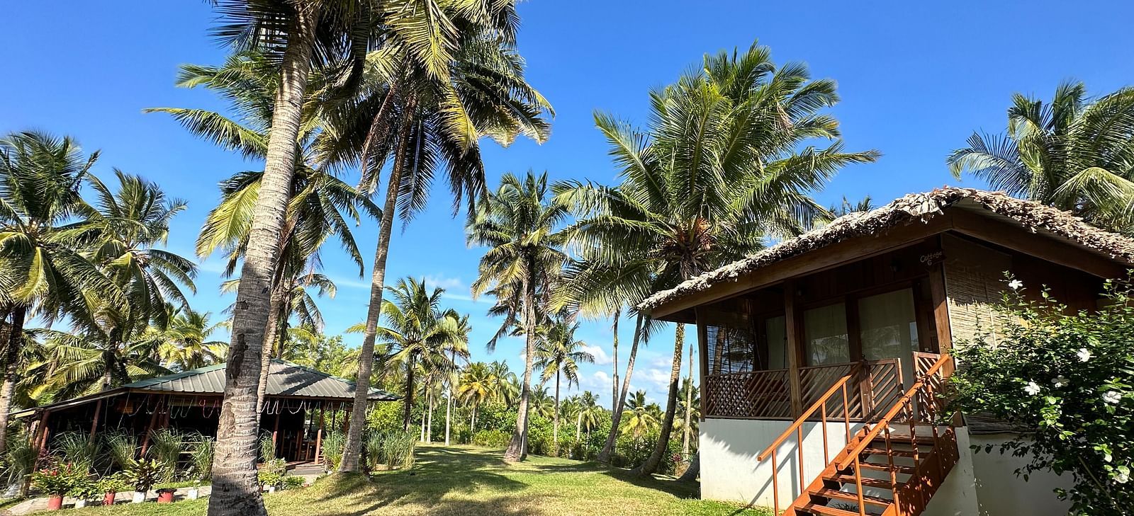 A charming resort building with a thatched roof, surrounded by lush green grass and palm trees under a bright sky.