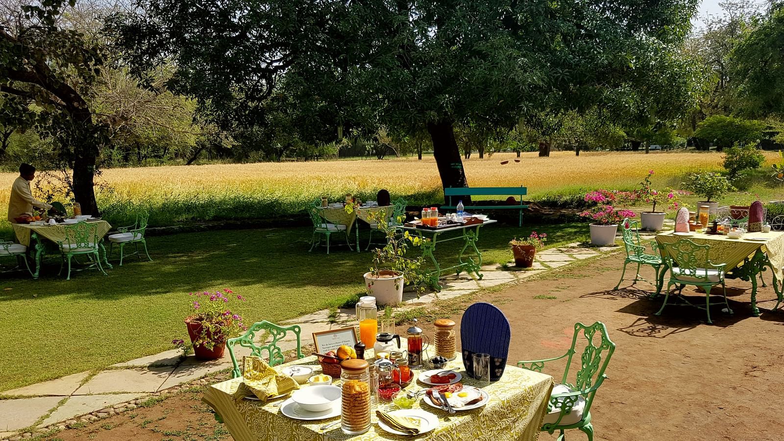 An outdoor dining area with tables set for a meal, surrounded by trees and a grassy field, with a person seated in the distance- Shahpura Bagh.
