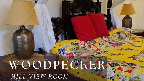 Woodpecker bedroom with beautiful room Furniture and paintings