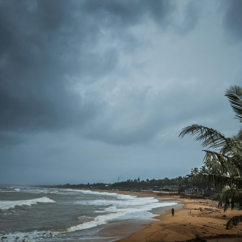 A moody, overcast beach in Goa during the monsoon with dark clouds, swaying palm trees, and white waves crashing on the shore.