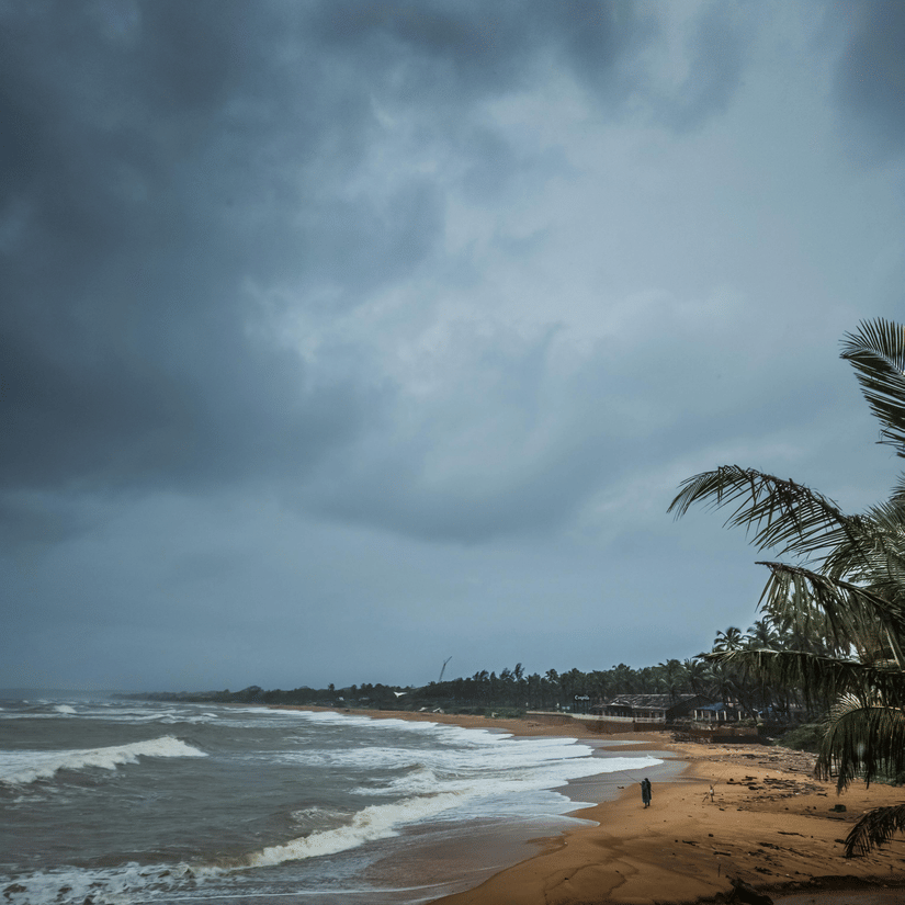 A moody, overcast beach in Goa during the monsoon with dark clouds, swaying palm trees, and white waves crashing on the shore.