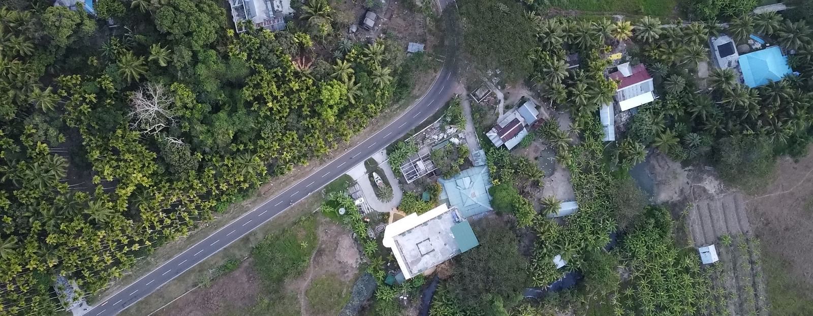 Aerial shot of buildings amidst trees on both sides of the road.