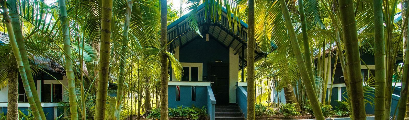 Image of a footpath surrounded by trees and plants at Parampara Resort & Spa, Kushalnagar.