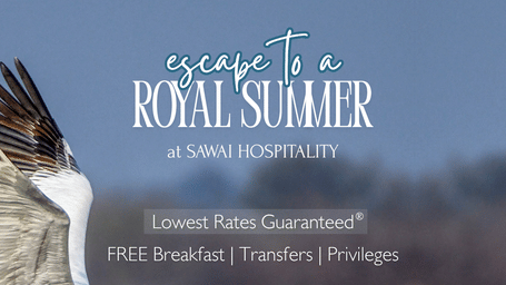 A promotional poster for a summer hospitality campaign featuring a pelican in flight over a water body, with blurred hills in the background, and text highlighting royal summer offers, lowest rates guaranteed, free breakfast, transfers, and privileges.