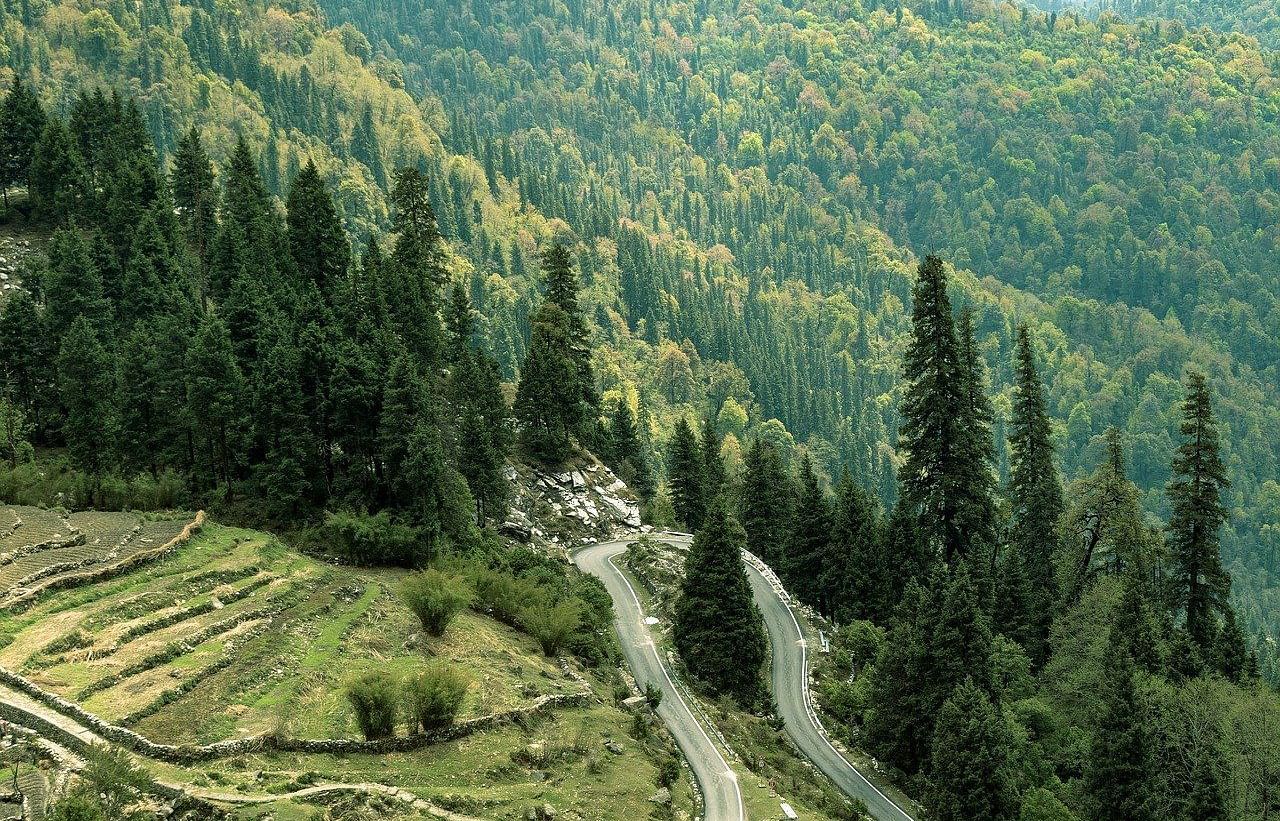 Lush green terraced fields and forested hills creating a serene landscape, showcasing nature's beauty.