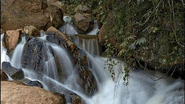 A small waterfall cascading over rocks in a tranquil forest setting, surrounded by trees and vegetation.