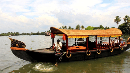 A traditional wooden boat with a curved roof floats on calm water, with palm trees, a cloudy sky, and distant shores in the background.