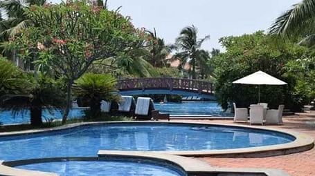 A view of a swimming pool with different chairs and a lot of trees in the background.