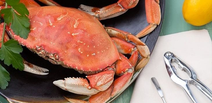 A cooked crab on a plate with a lemon, seafood utensils, and a napkin beside it.