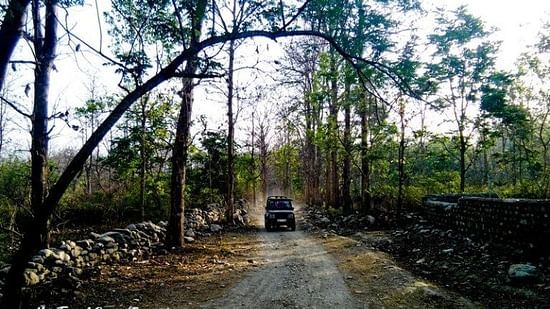 Travel Diary Iris Resort and spa Ramnagar