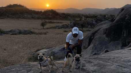 A person is taking 2 dogs on a walk with a backdrop of rugged hills and sunset - Utsav Camp, Sariska