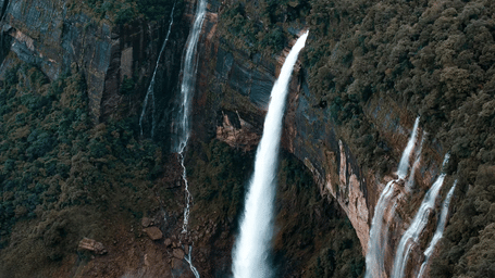 A water fall among a thick forest.