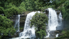 A wide waterfall splitting into two streams, surrounded by dense green foliage and rocks at the base.