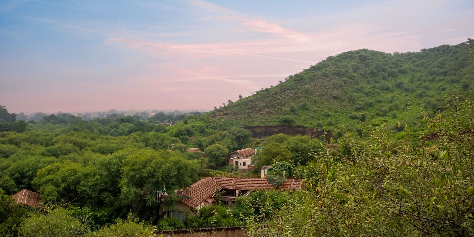 Property Landscapes 2021 74