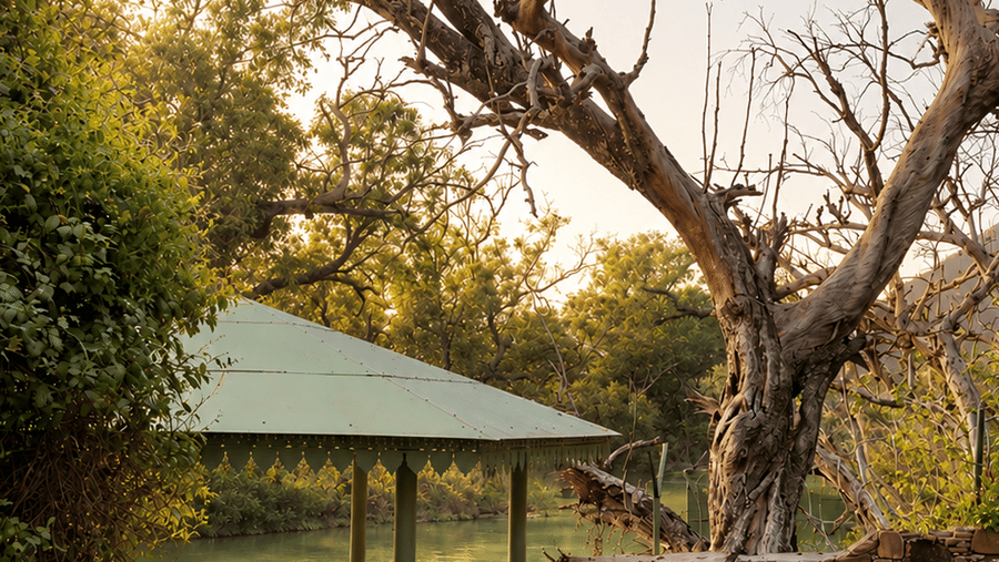 Breakfast by the riverside-Guest Rooms-Surya Bagh - Boutique Hotels in Ajabgarh Rajasthan