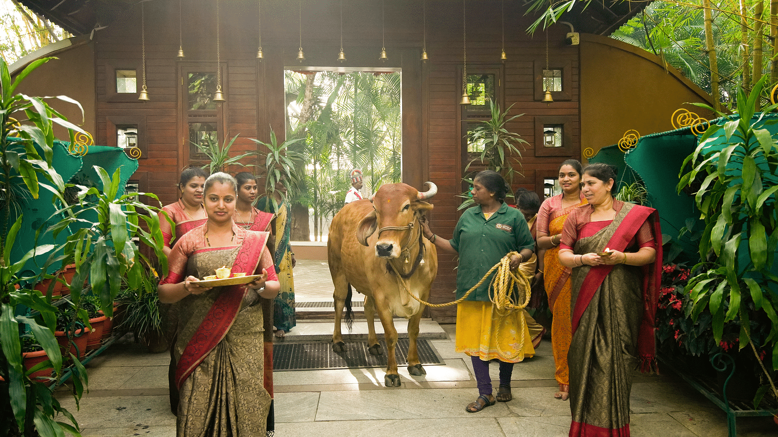An overview of the staff worshipping the divine cow at hoysala village resort, hassan.