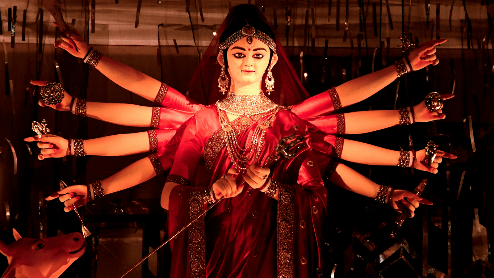 pexels-soumya-bhattacharjee-64452952-9938557