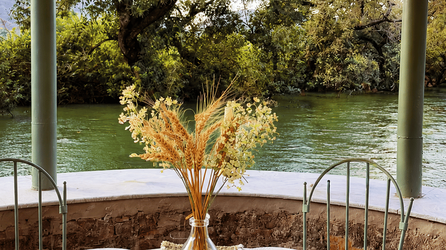Breakfast by the riverside 2-Guest Rooms-Surya Bagh - Boutique Hotels in Ajabgarh Rajasthan