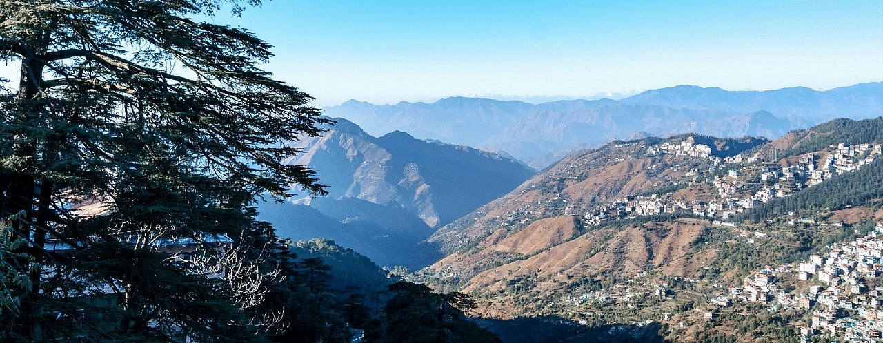 A picturesque mountain view in Shimla, featuring lush trees in the foreground and distant mountains in the vicinity
