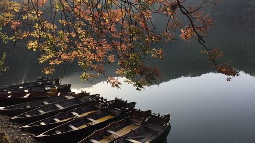 best 5-star hotels in Bhimtal, Nainital, 5 star resorts in Bhimtal czs