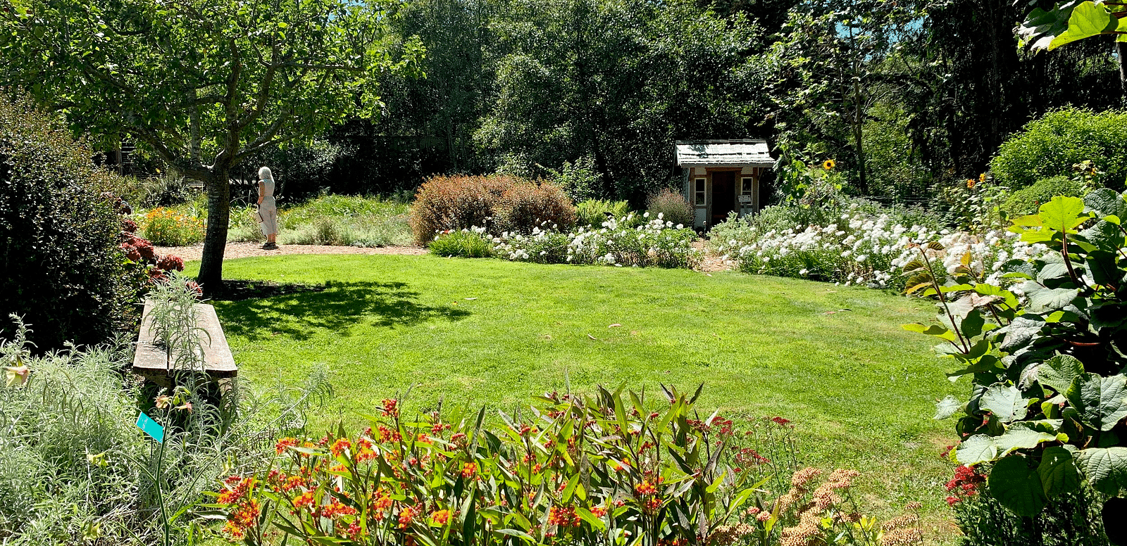 Beautiful landscaped garden with vibrant plants, a small scarecrow, and a bright blue sky